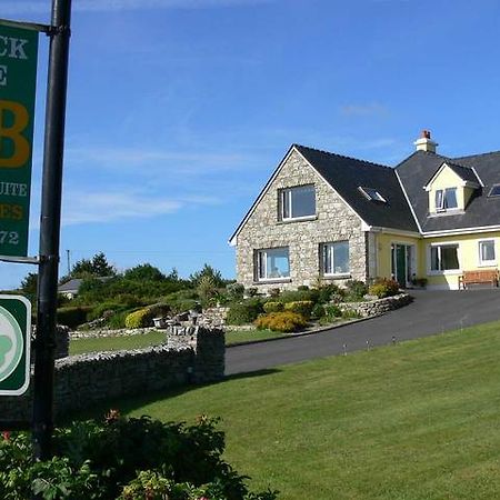 Ivy Rock House B&B Roundstone Extérieur photo